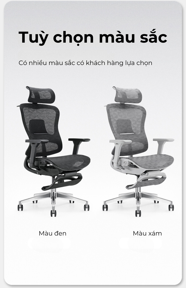 Ghế công thái học lưng kim loại Honey V1-des Ghế công thái học lưng kim loại Honey V1-des