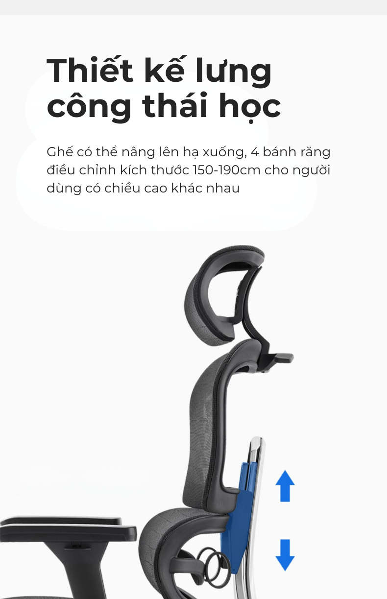 Ghế công thái học lưng kim loại Lucky V1-des Ghế công thái học lưng kim loại Lucky V1-des