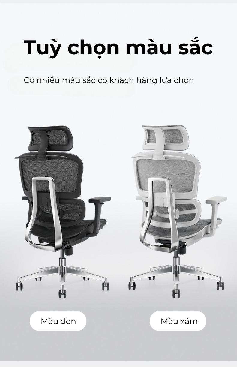 Ghế công thái học lưng kim loại Lucky V2 – không gác chân-des