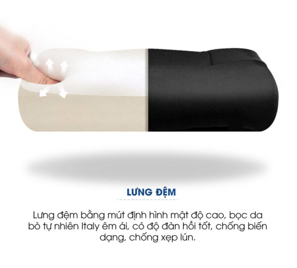 Ghế lãnh đạo cao cấp nhập khẩu GGD-1522N-des